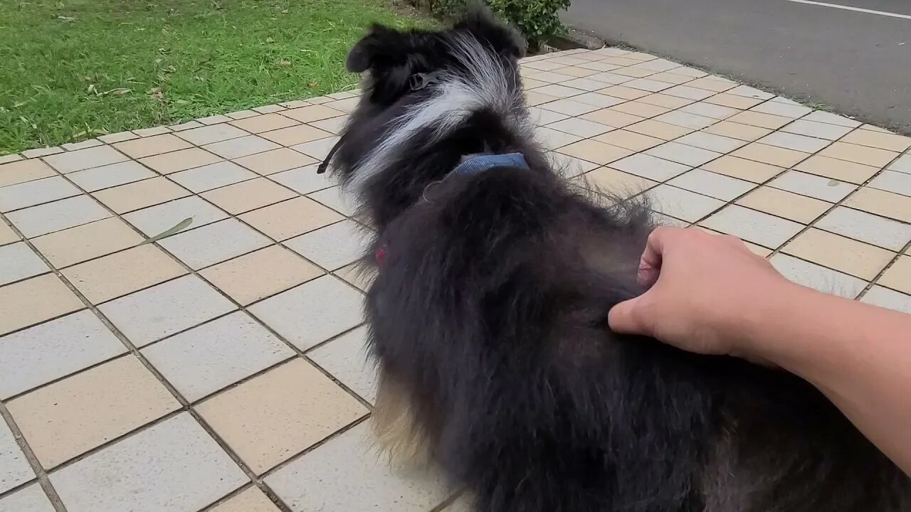 sniffing for friends..