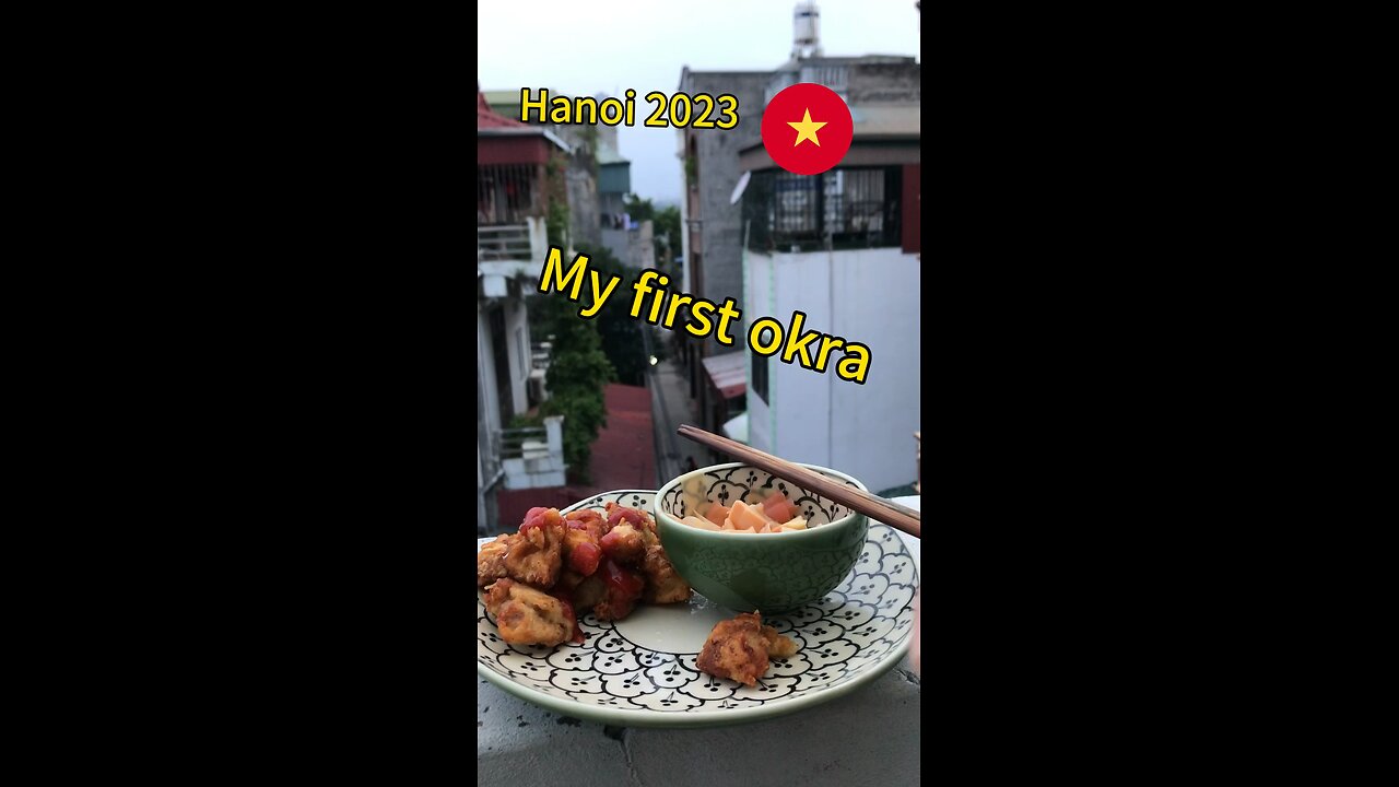 My first okra #electroculture#daubap#okra#lamvuonsanthuong#lamvuon#santhuong
