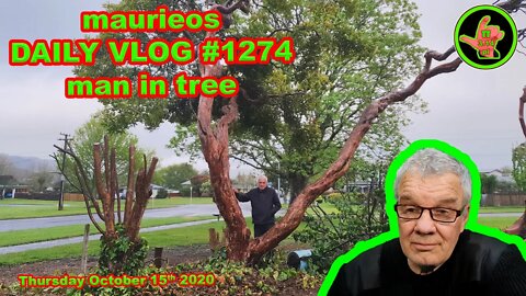 maurieos DAILY VLOG #1274 man in tree