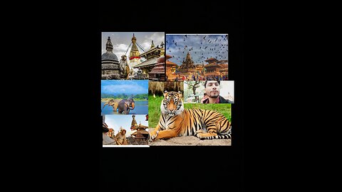 Visit world heritage site