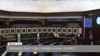 Crowded race for Congressional District 15 in Polk County