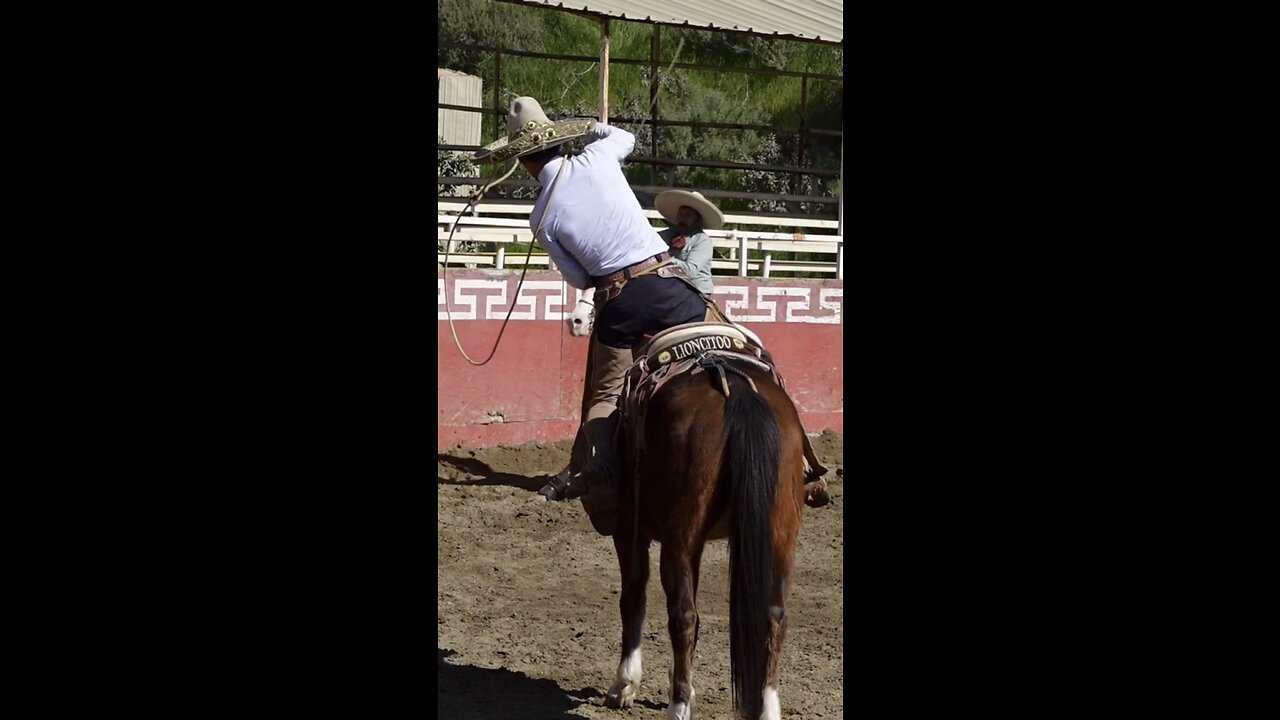 Trick roping on horse🙀🔥🔥