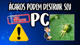 Ácaros podem destruir seu PC [Veja]#shorts