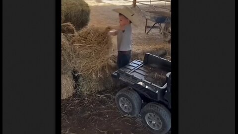 Young Cowboy Working The Farm