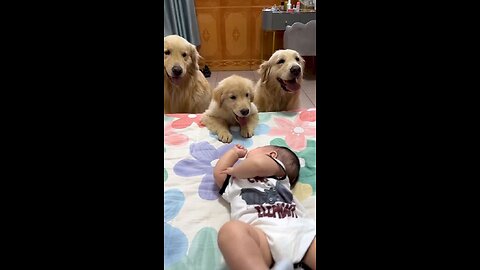 Dogs and babies make an adorable duo🥰