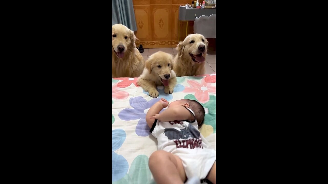 Dogs and babies make an adorable duo🥰