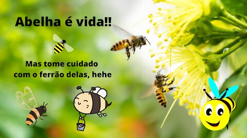 Bees, bees and bees!!
