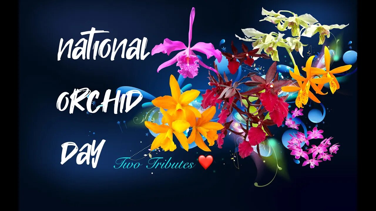 INTERNATIONAL ORCHID DAY ❤️🌸💐🌺🌻🌼🌹❤️ | History | RAW Trigger warning | Two Tributes 😘