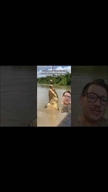Crocodillians go through ALOT of teeth