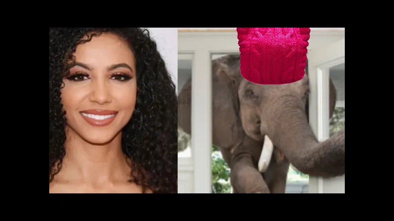 Cheslie Kryst & The Feminist Elephant In The Room