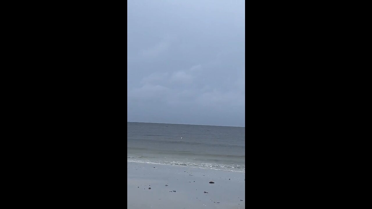 Livestream Clip 5 - Hurricane Ian & Davystingray Crash My Livestream Under Fort Myers Beach Pier!