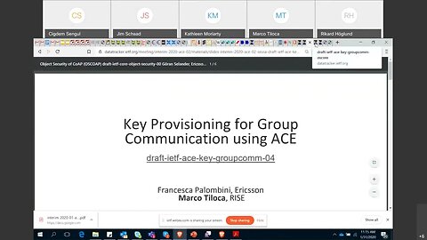 ACE WG Interim Meeting, 2020 01 31