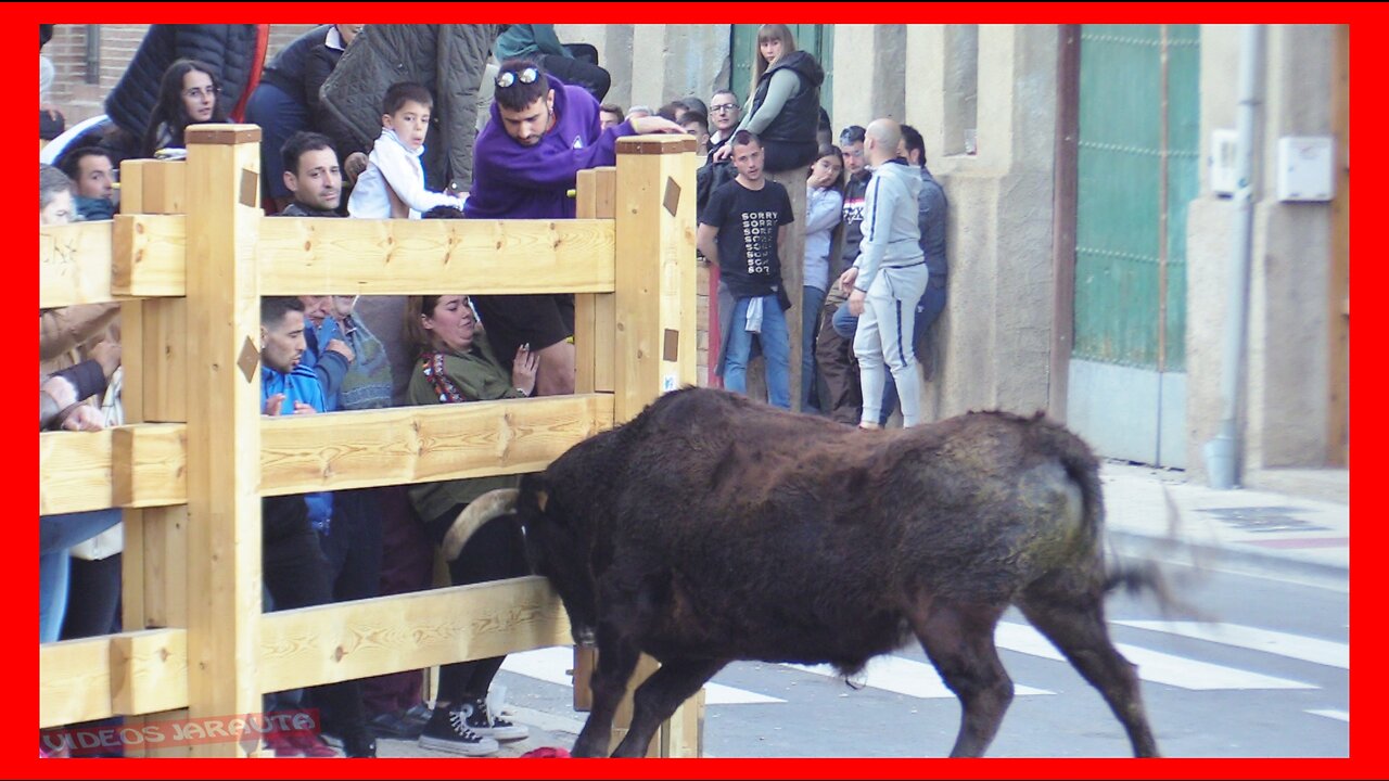 FUNES ( NAVARRA ) TARDE VACAS EN CALLE ( DOMINGO 19 MARZO 2023 ) GANAD.ADRIAN DOMINGUEZ