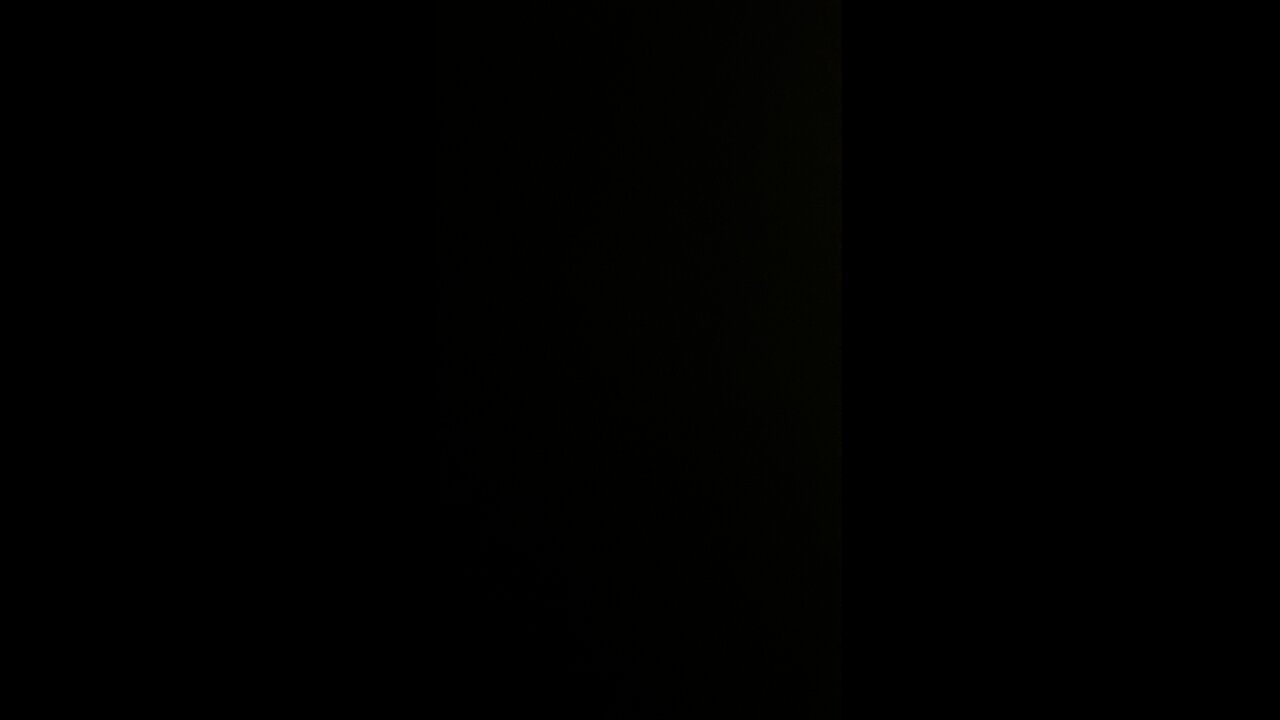 Spiders