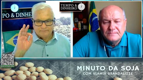 Milho escasso e valorizado