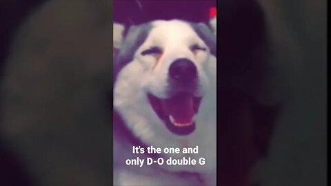 #shorts It's the one and only D-O double G