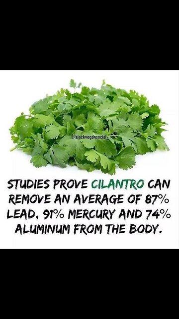 The best time to take a probiotic is 45 minutes before breakfast or,