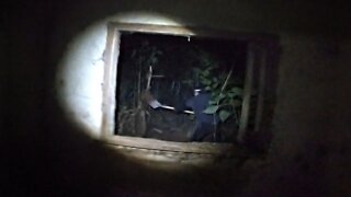 COVEIRO APARECE NA CASA E COMEÇA A DESENTERRAR ALGUMA COISA