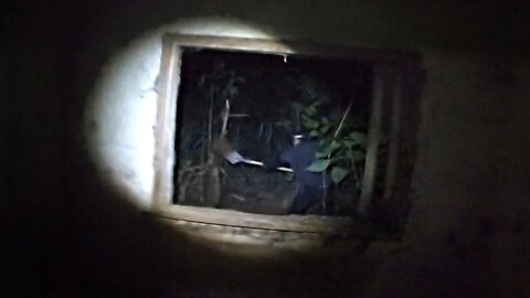 COVEIRO APARECE NA CASA E COMEÇA A DESENTERRAR ALGUMA COISA