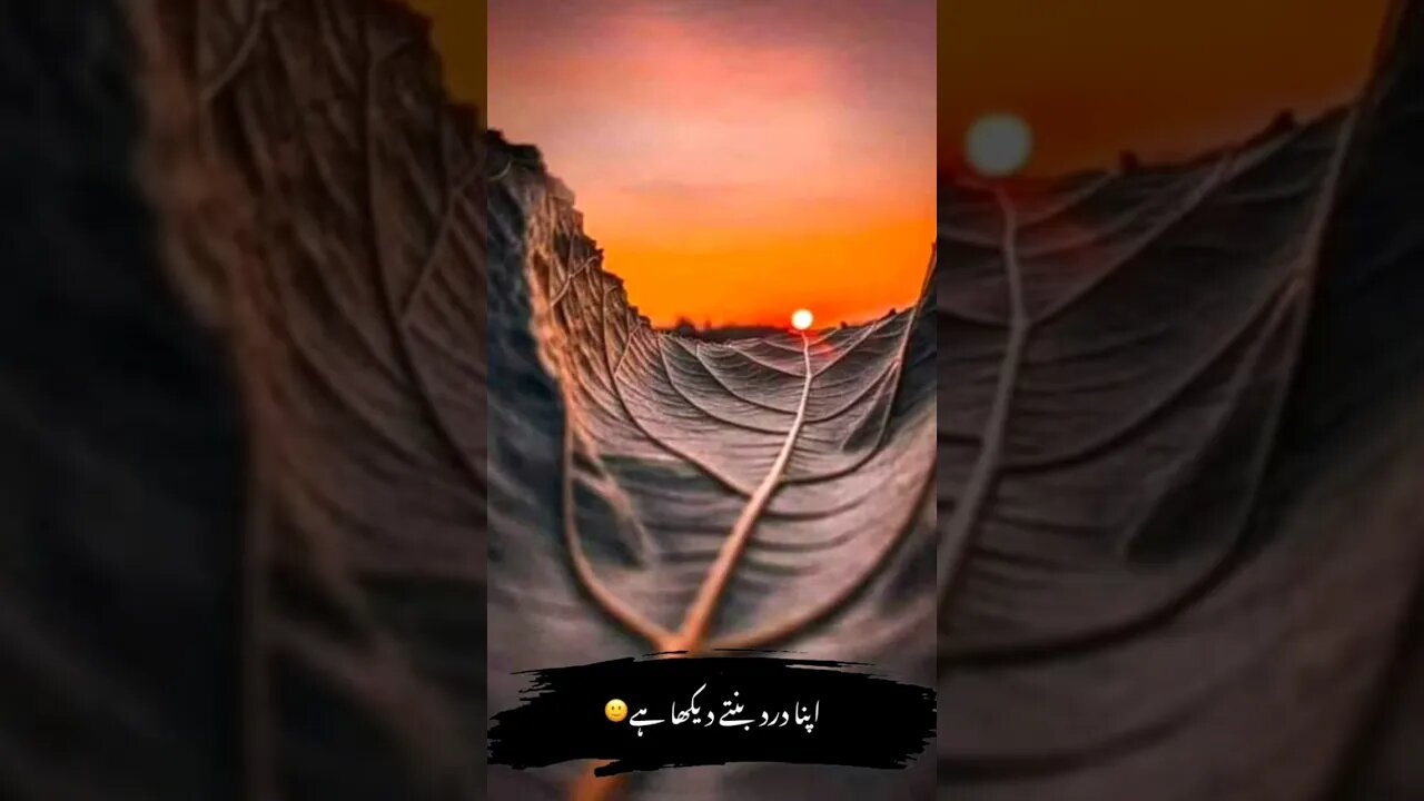 #whatsapp_status #urdupoetry #urdusadpoetry #urdushayari #urdu #urdustatus #tiktok #viral #shayari