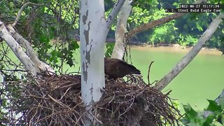 USS Eagles - Upside down