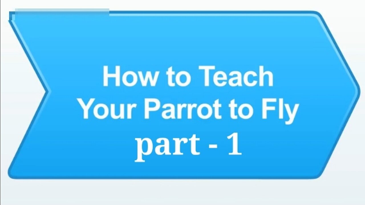 How to teach your parrot to Fly | parrot training part - 1 Easy steps...