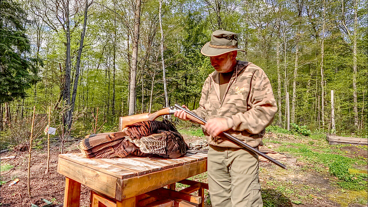 Quick Turkey Hunt in my Food Forest