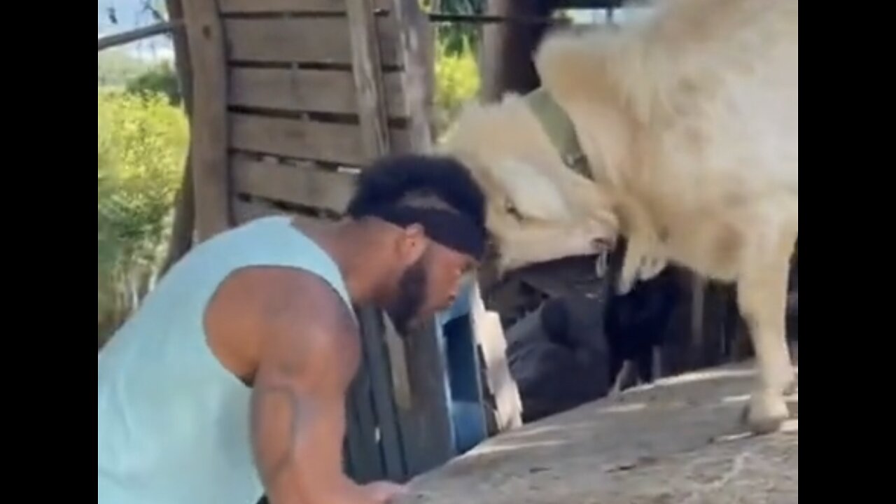 Head to head with a goat