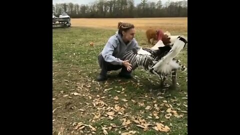 Turkey Hugs