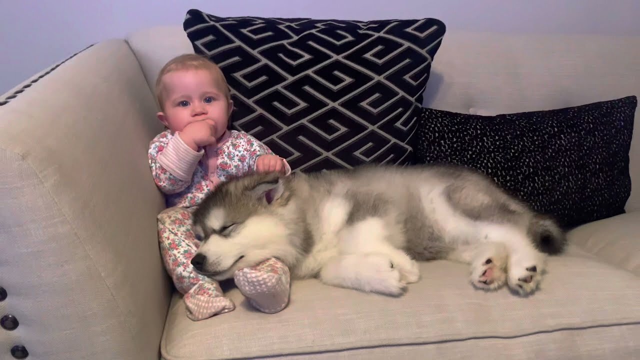 The Best Year Of Our Lives! Baby And Puppy Growing Up Together ! | CUTEST EVER !