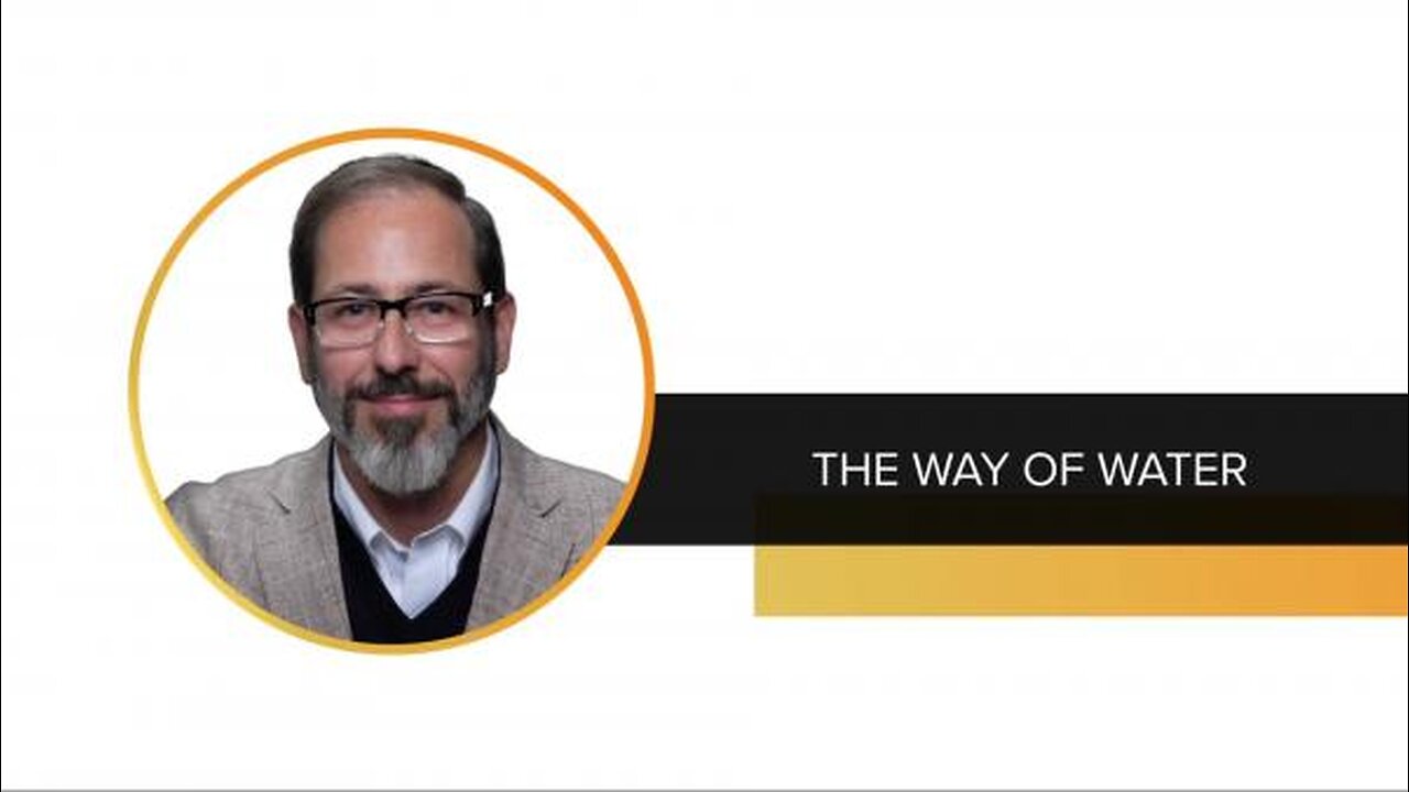 TWF Virtual Summit - 24: Dr. Andrew Kaufman