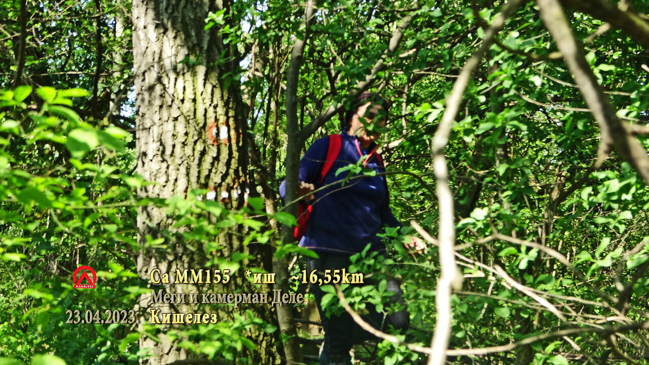 20230423 SaMM155 иш