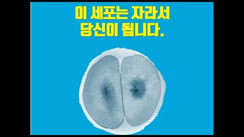 탄생의 과학, 최영은, 발생학, 정자, 난자, 나팔관, 올챙이, 자궁경부, 근육수축, 성숙기, 배란, 수정, 후생유전학, 성인지의학, 의료윤리, 실험윤리, 임신중독, 자연유산,