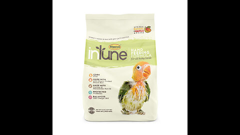 Banana Parrot Treat (8 oz.)