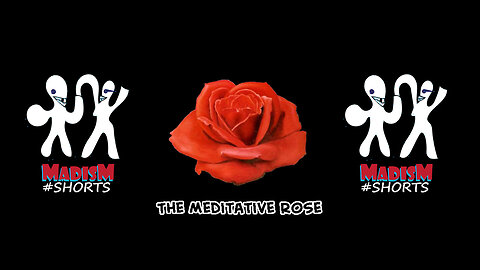 The Meditative Rose