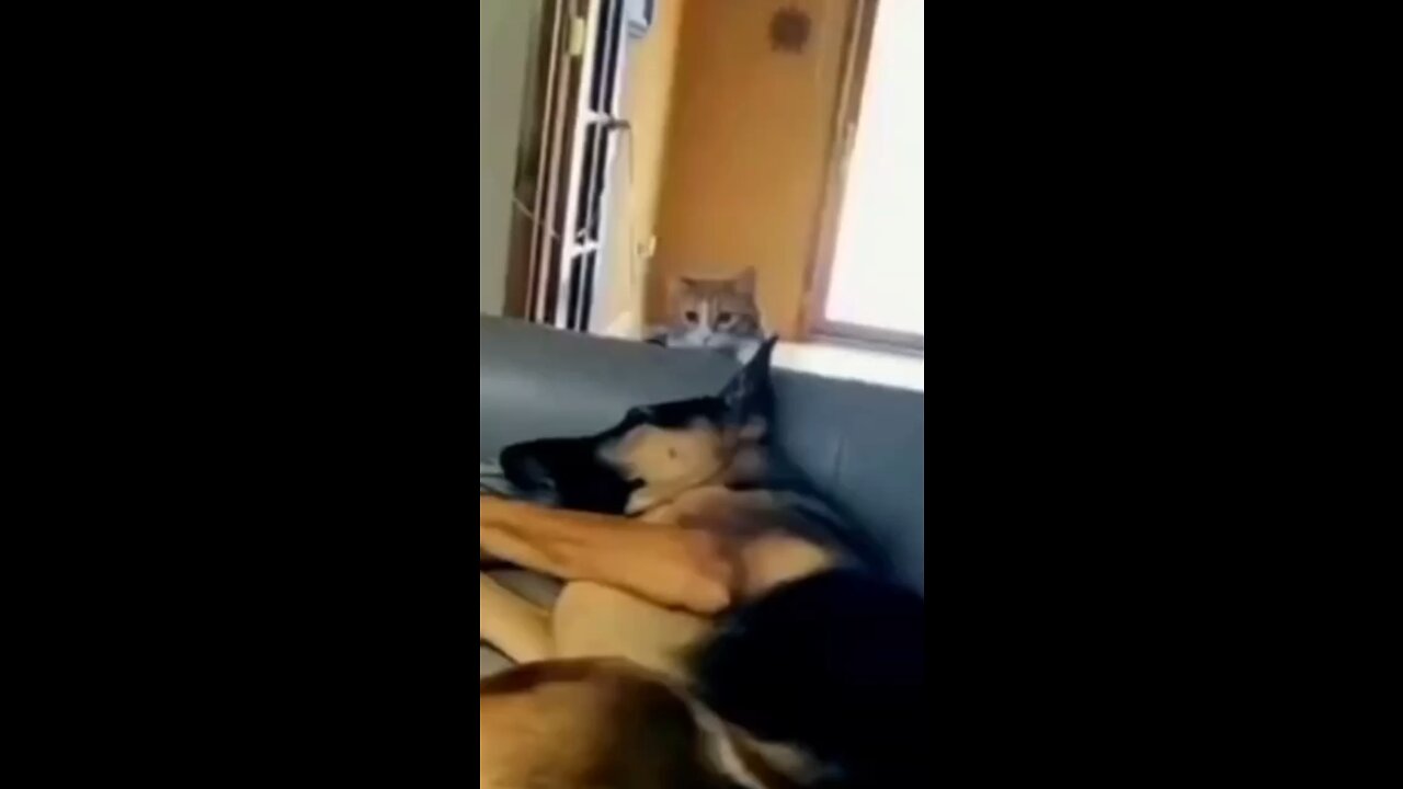 She got in good🤣