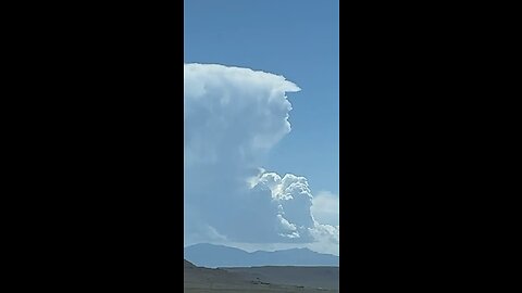 Trump Cloud