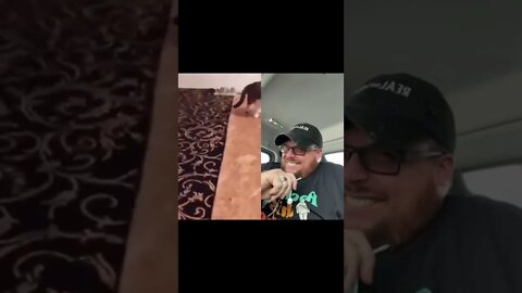 Here’s Your Dose Of REALarious…🤣🤣🤣