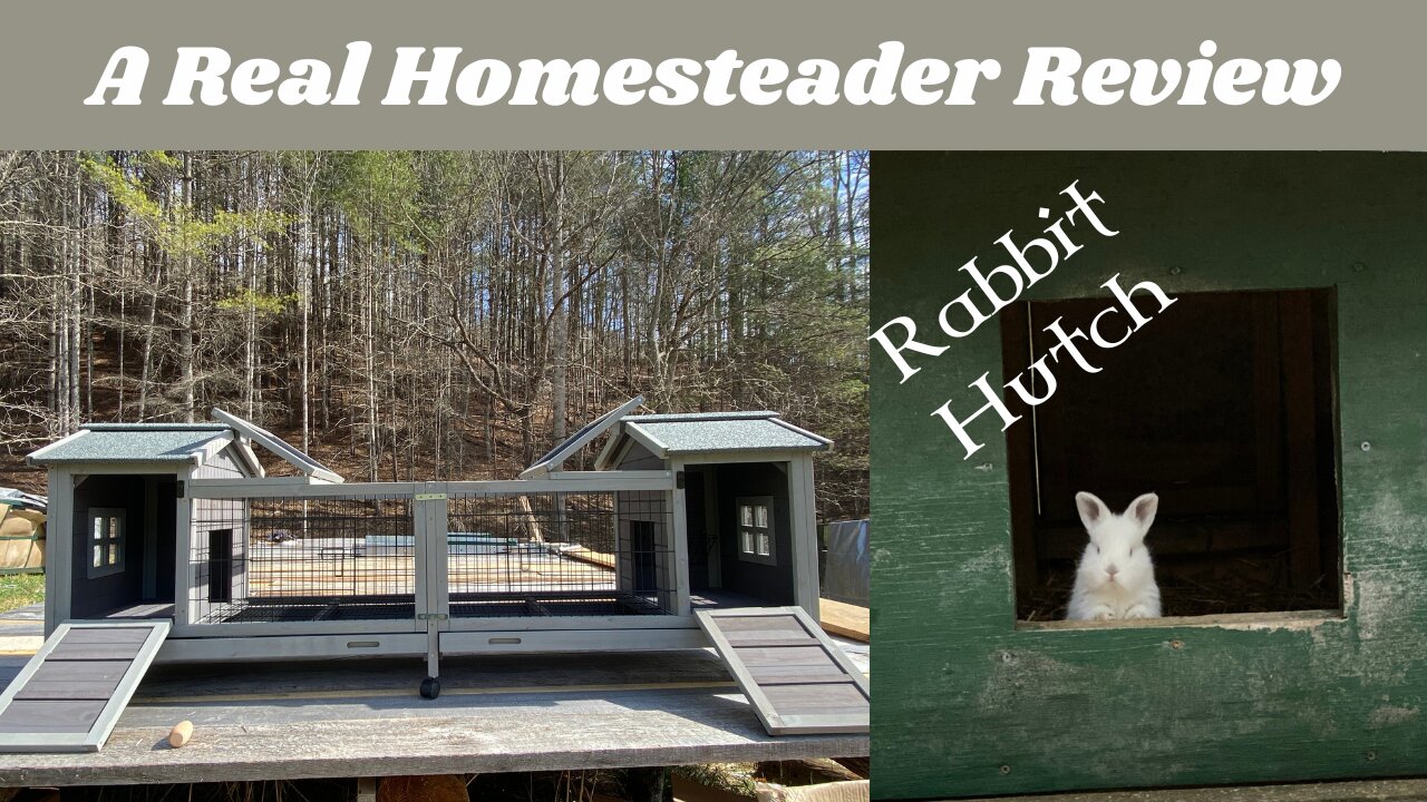 Homesteaders Review Aivituvin Rabbit Hutch