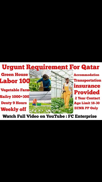 Green House Worker Vegetables Job in Qatar @FC Enterprise