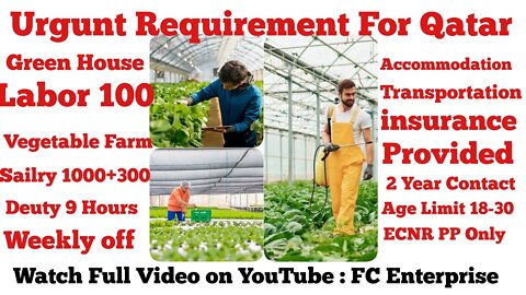 Green House Worker Vegetables Job in Qatar @FC Enterprise