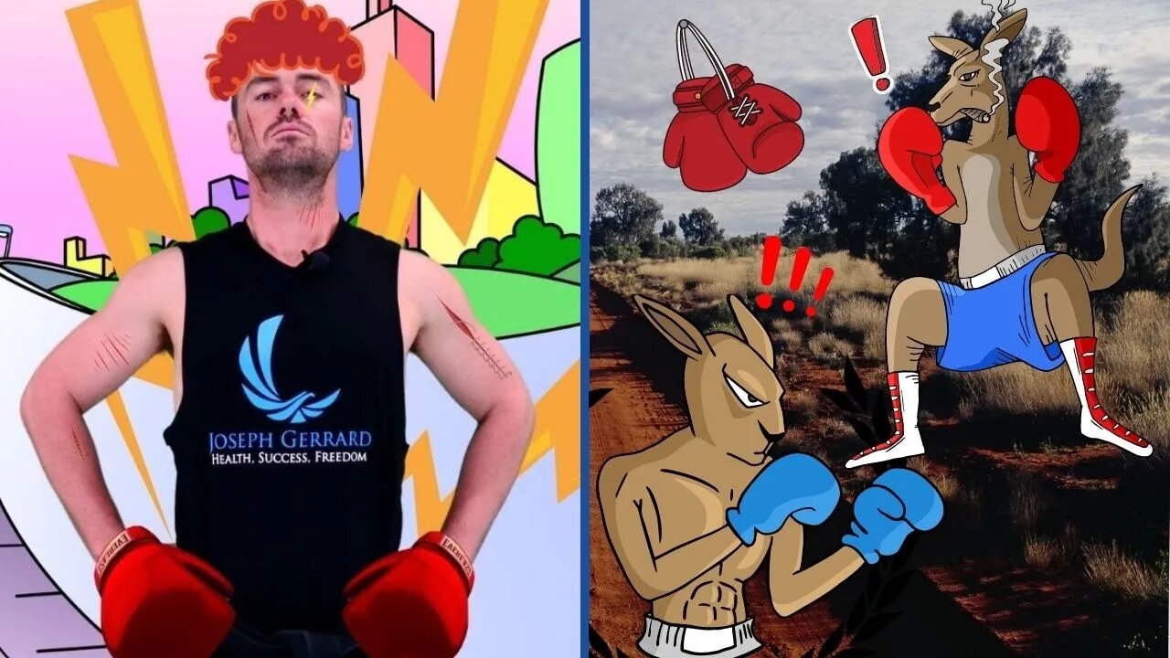 Violent Boxing Kangaroos?! 🦘