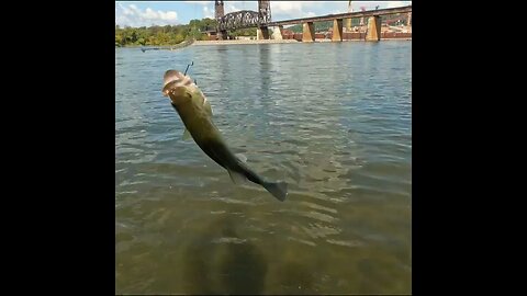 fishing the river