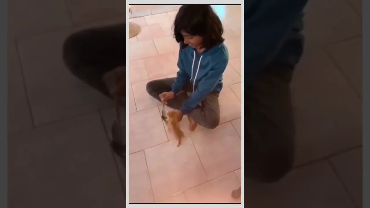 Gotta burn those calories...🐈🐾🥛👧😅