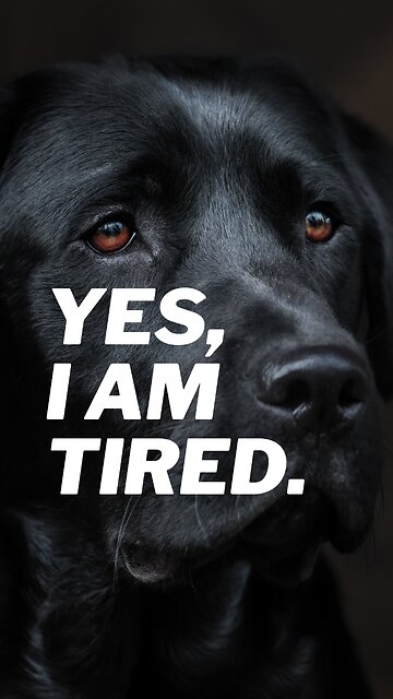 Deep Contemplation: The Power of Perseverance - Never Give Up