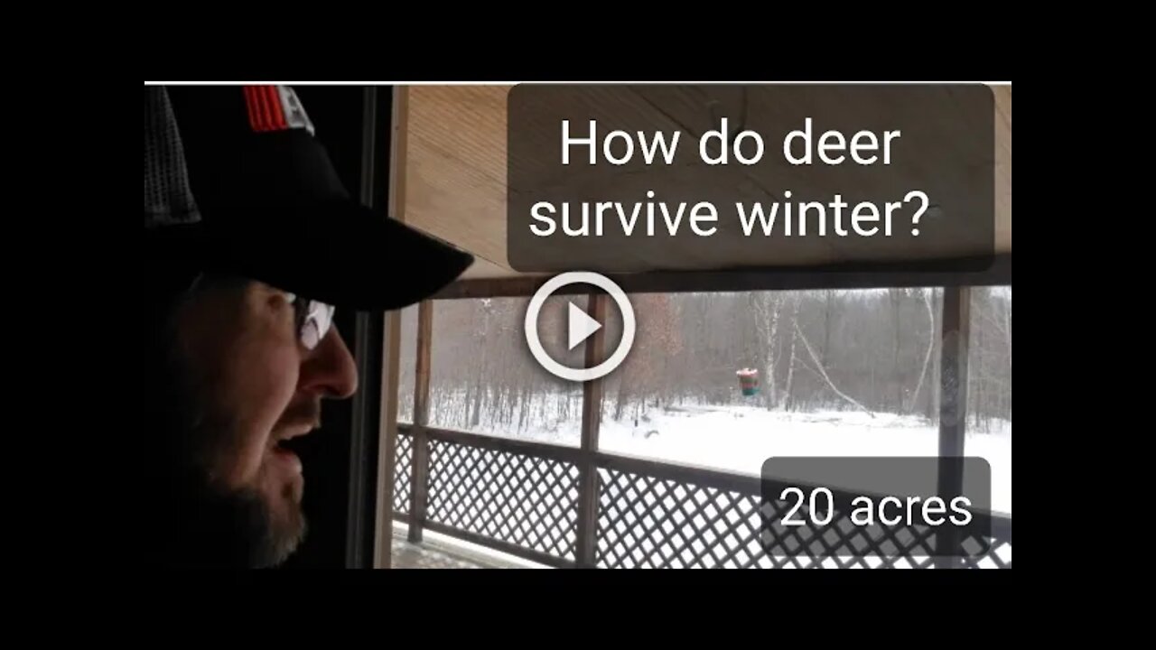 Winter Deer Controlled Starvation #87 "Landscaping for Whitetails"