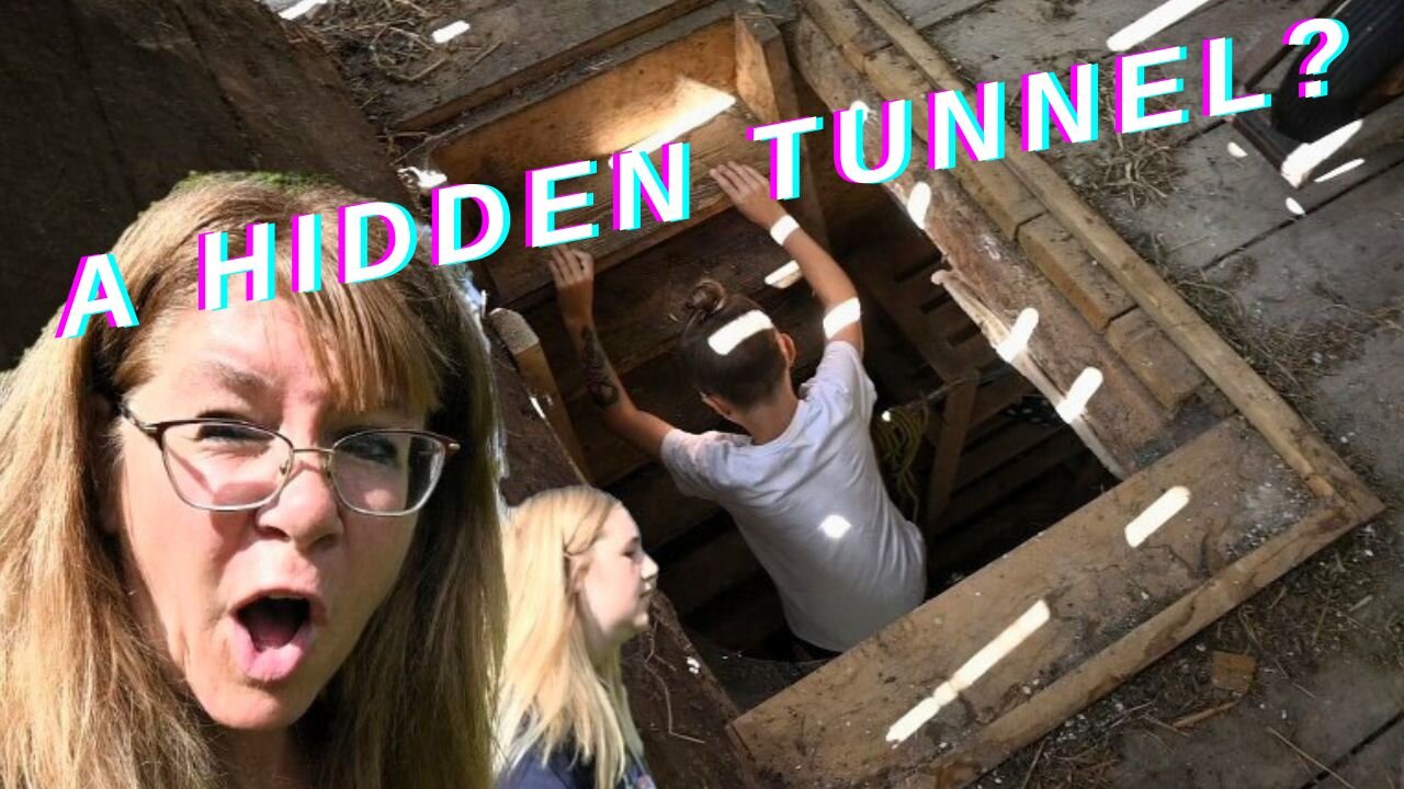 We Found A hidden Tunnel In Our New Farm!