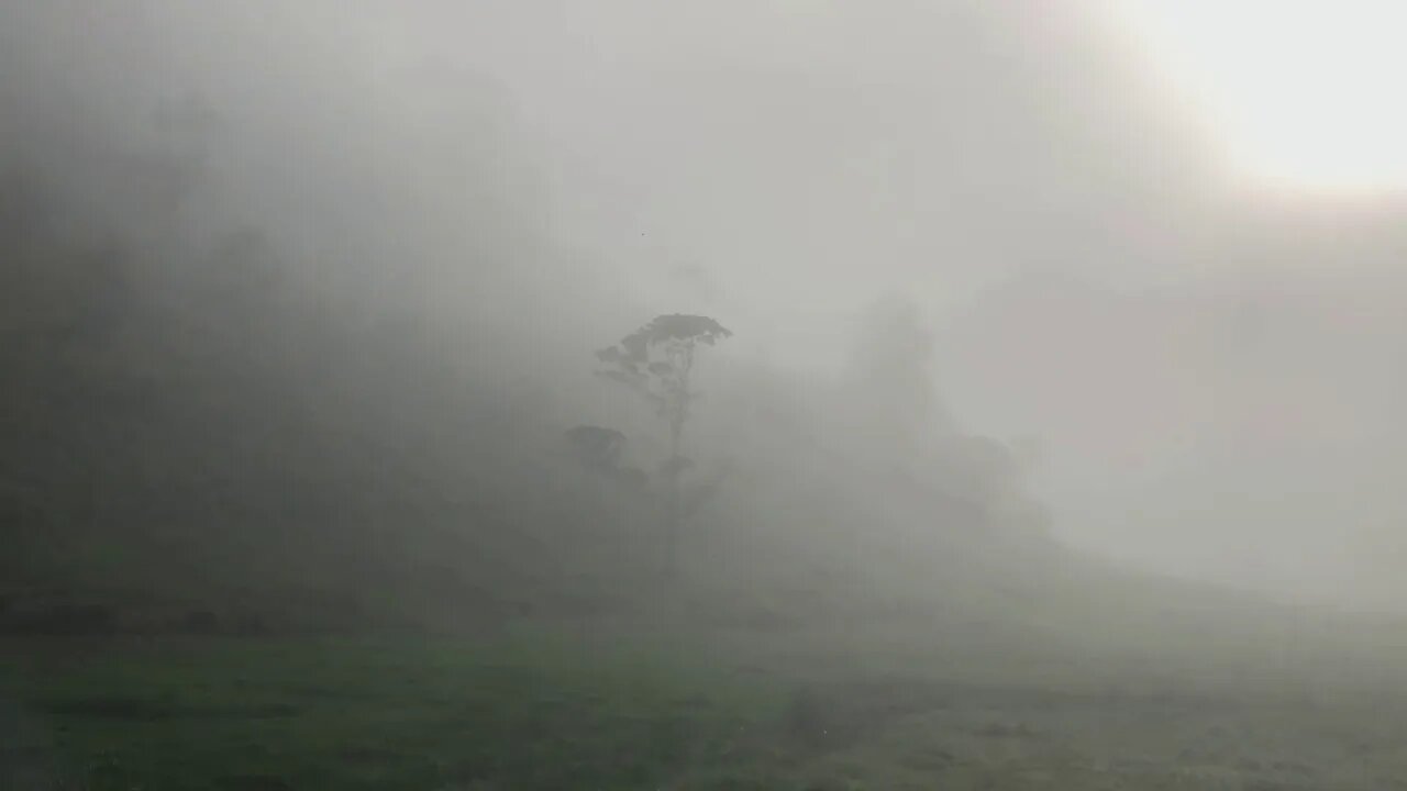 Morning mist still around at 8am Part I