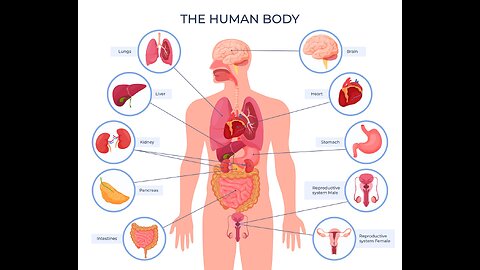 RADIOACTIVE NANOS ? PART 2 THE ORGANS EFFECTED