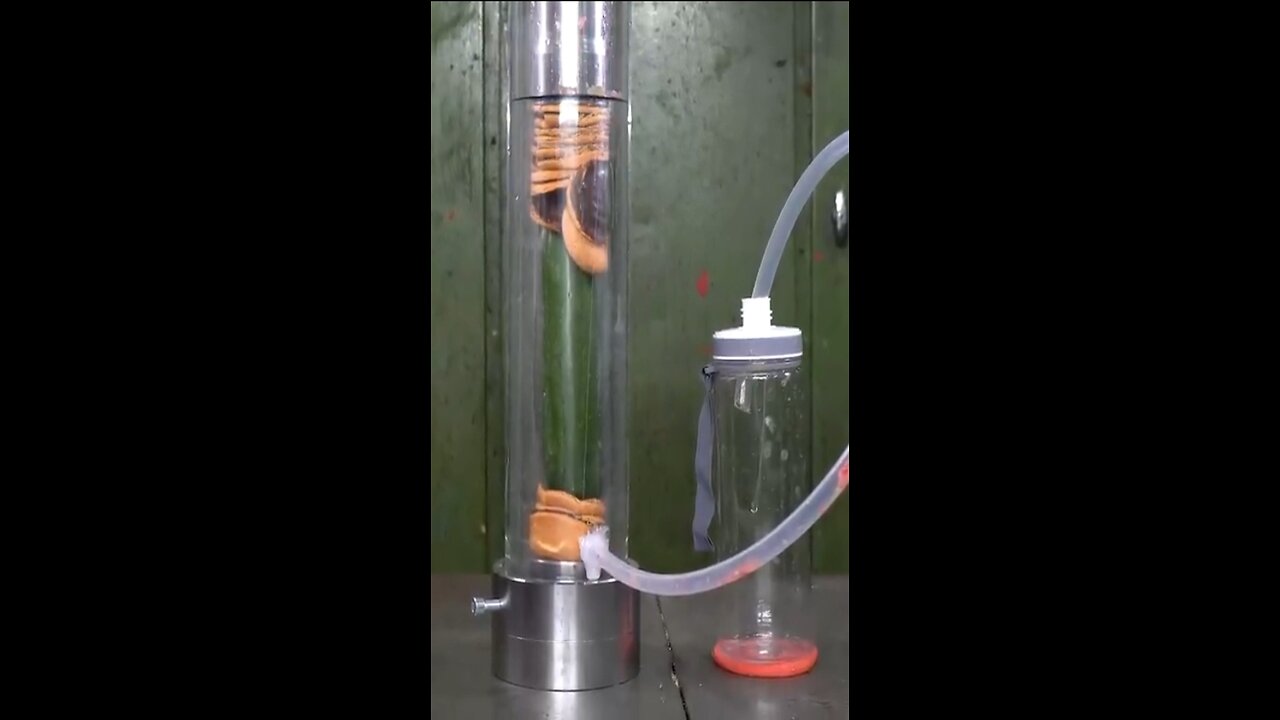 Hydraulic pressure experiment on vegetables